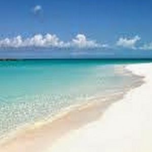 Meet your Posher, Krystal